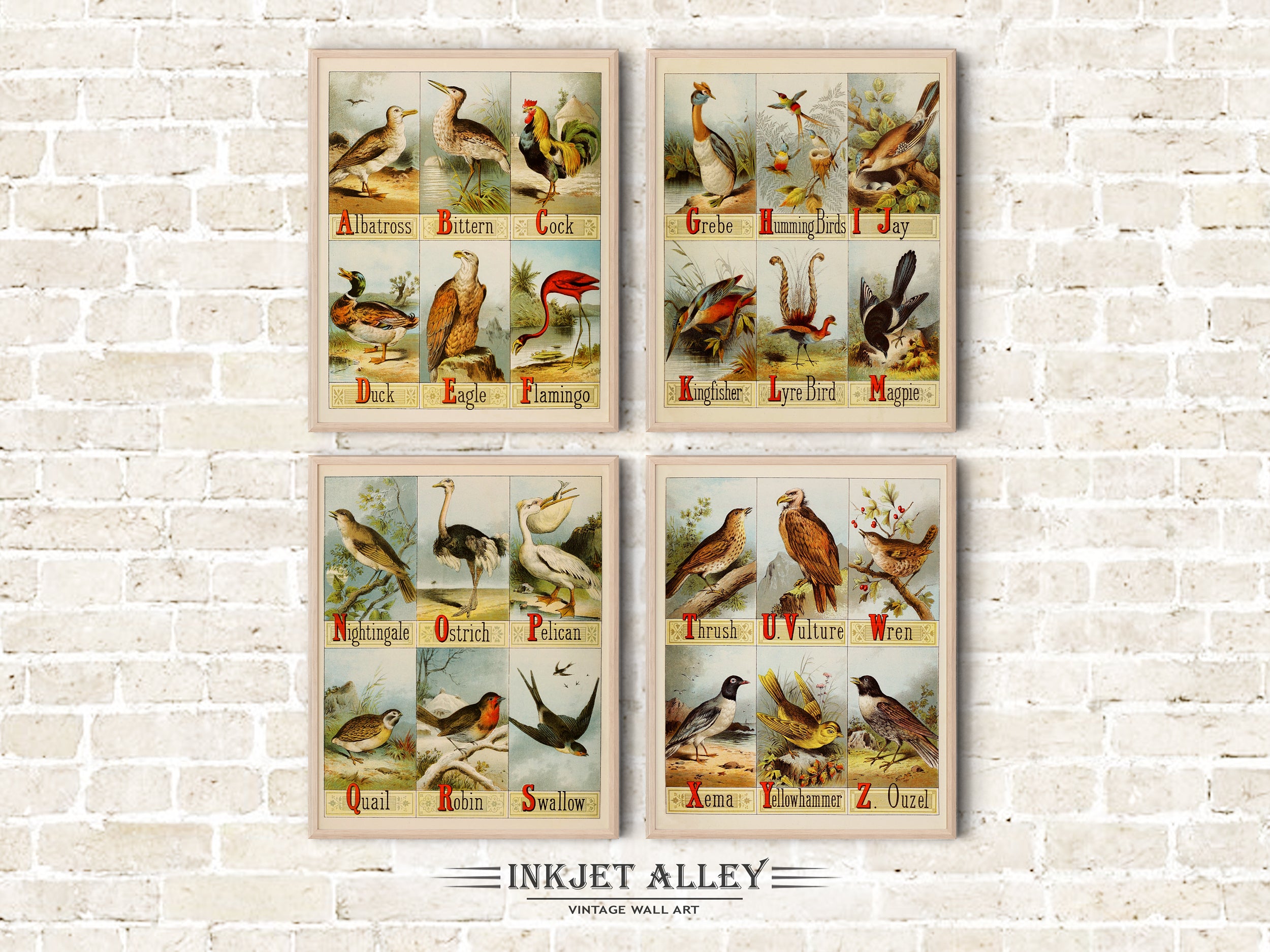 Set of 4  Vintage Picture Alphabet Illustrations of Birds, ABC Chart Poster, 4 Prints Total from A to Z