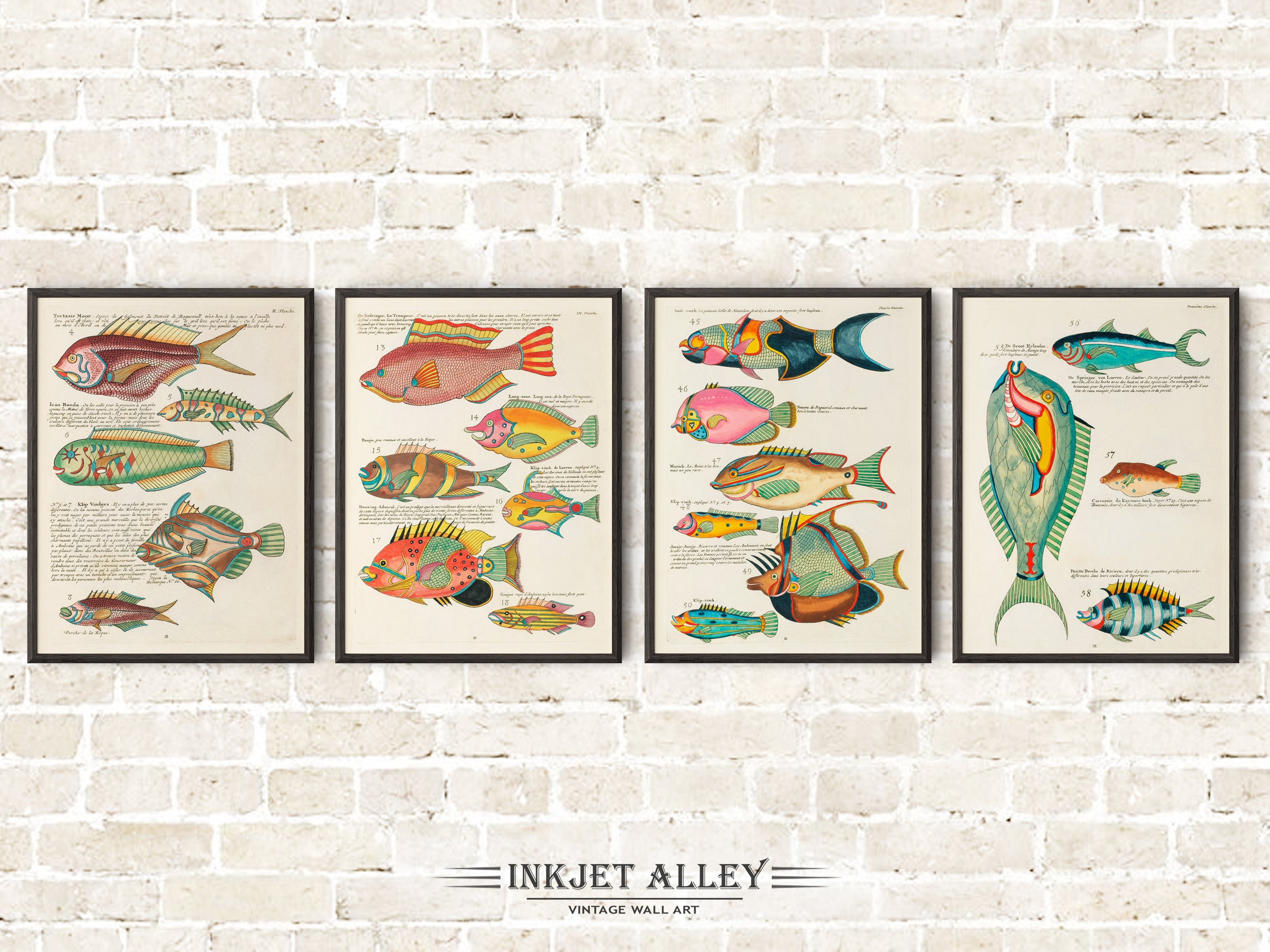 Set of 4 Fantastical Fish Illustrations by Louis Renard - SKU# EF10-PLA01-02-04-10-12