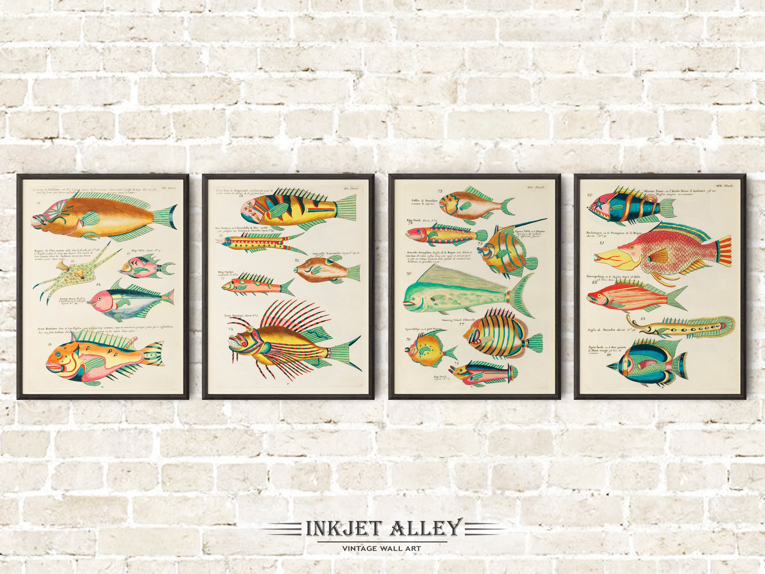 Set of 4 Fantastical Fish Illustrations by Louis Renard - SKU# EF10-PLA02-13-15-16-17