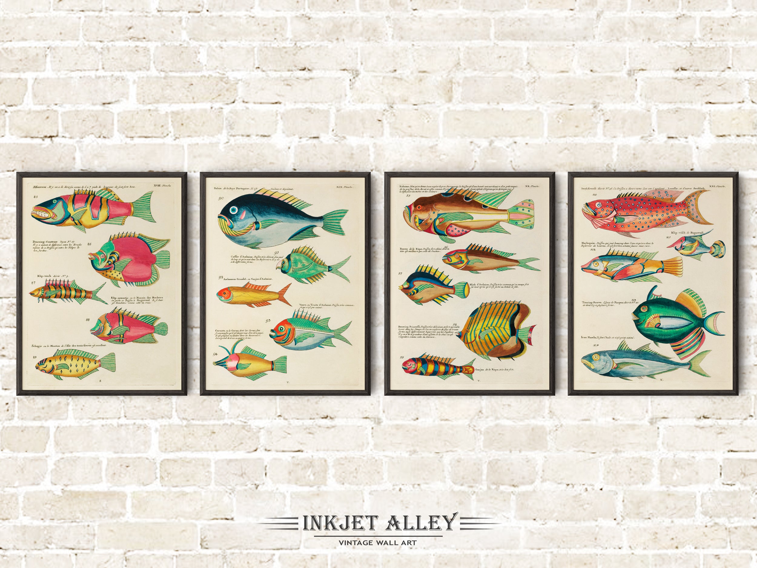 Set of 4 Fantastical Fish Illustrations by Louis Renard - SKU# EF10-PLA03-18-19-20-21