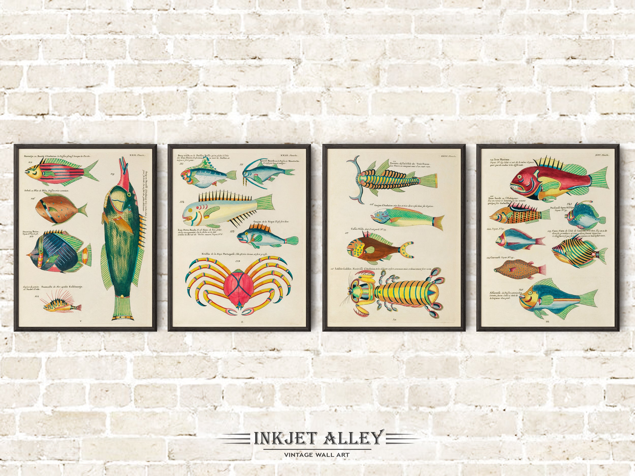 Set of 4 Fantastical Fish Illustrations by Louis Renard - SKU# EF10-PLA04-22-23-24-25