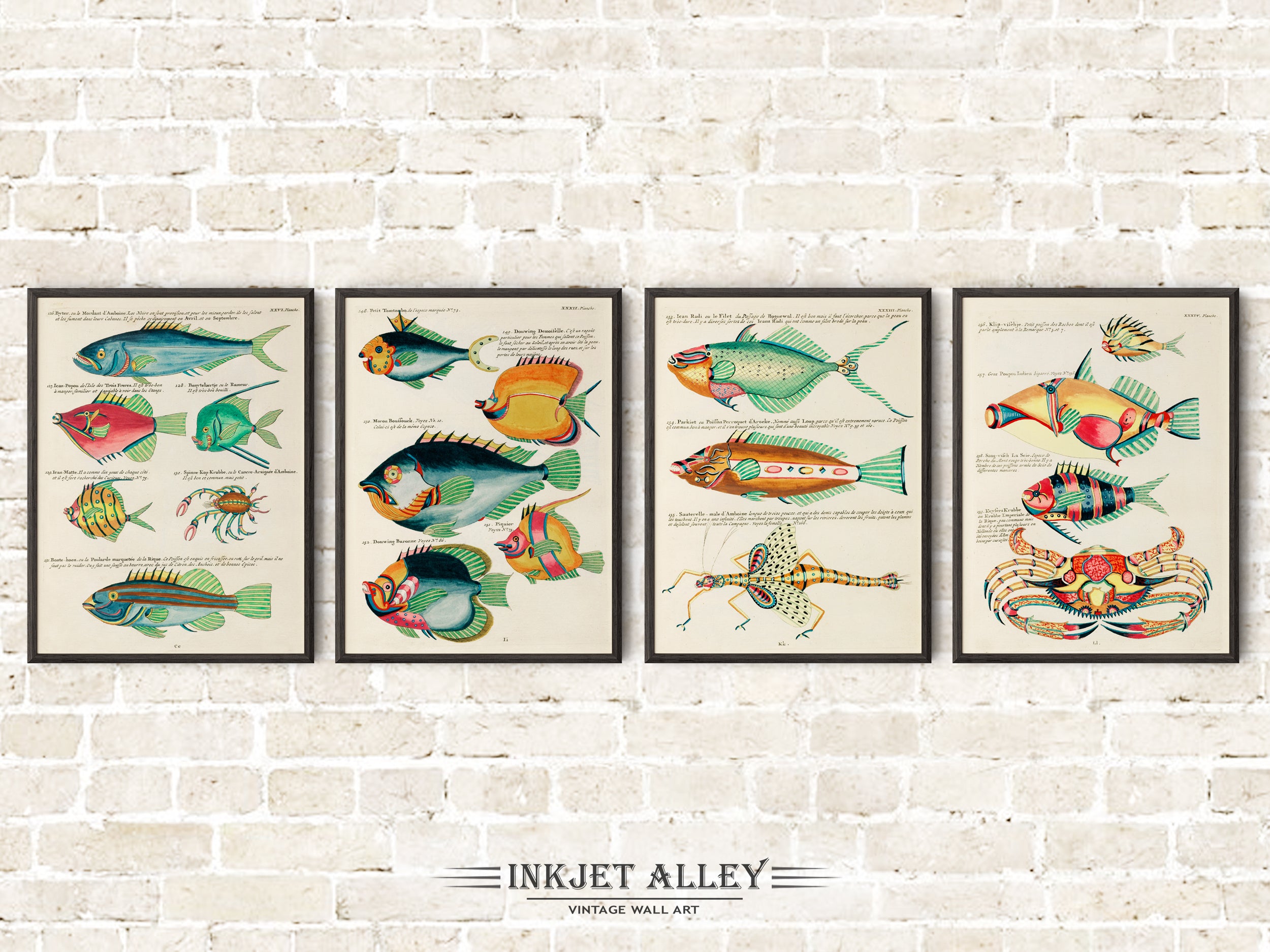 Set of 4 Fantastical Fish Illustrations by Louis Renard - SKU# EF10-PLA05-26-32-33-34