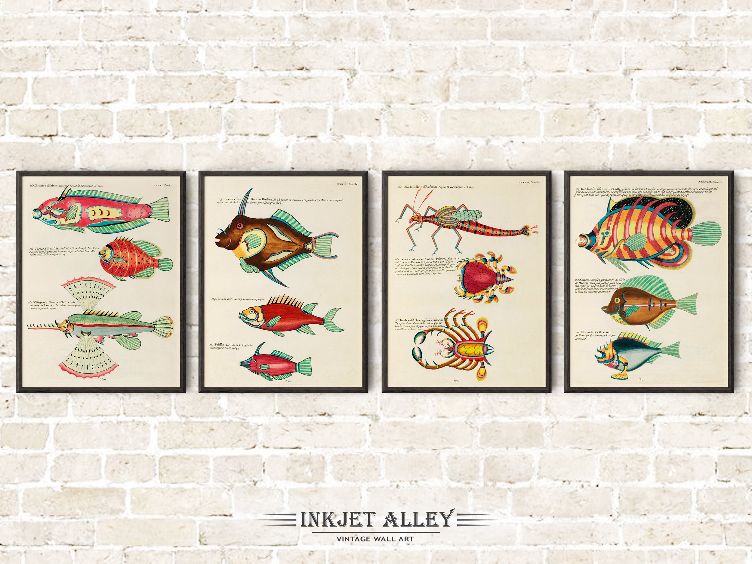 Set of 4 Fantastical Fish Illustrations by Louis Renard - SKU# EF10-PLA06-35-36-37-38