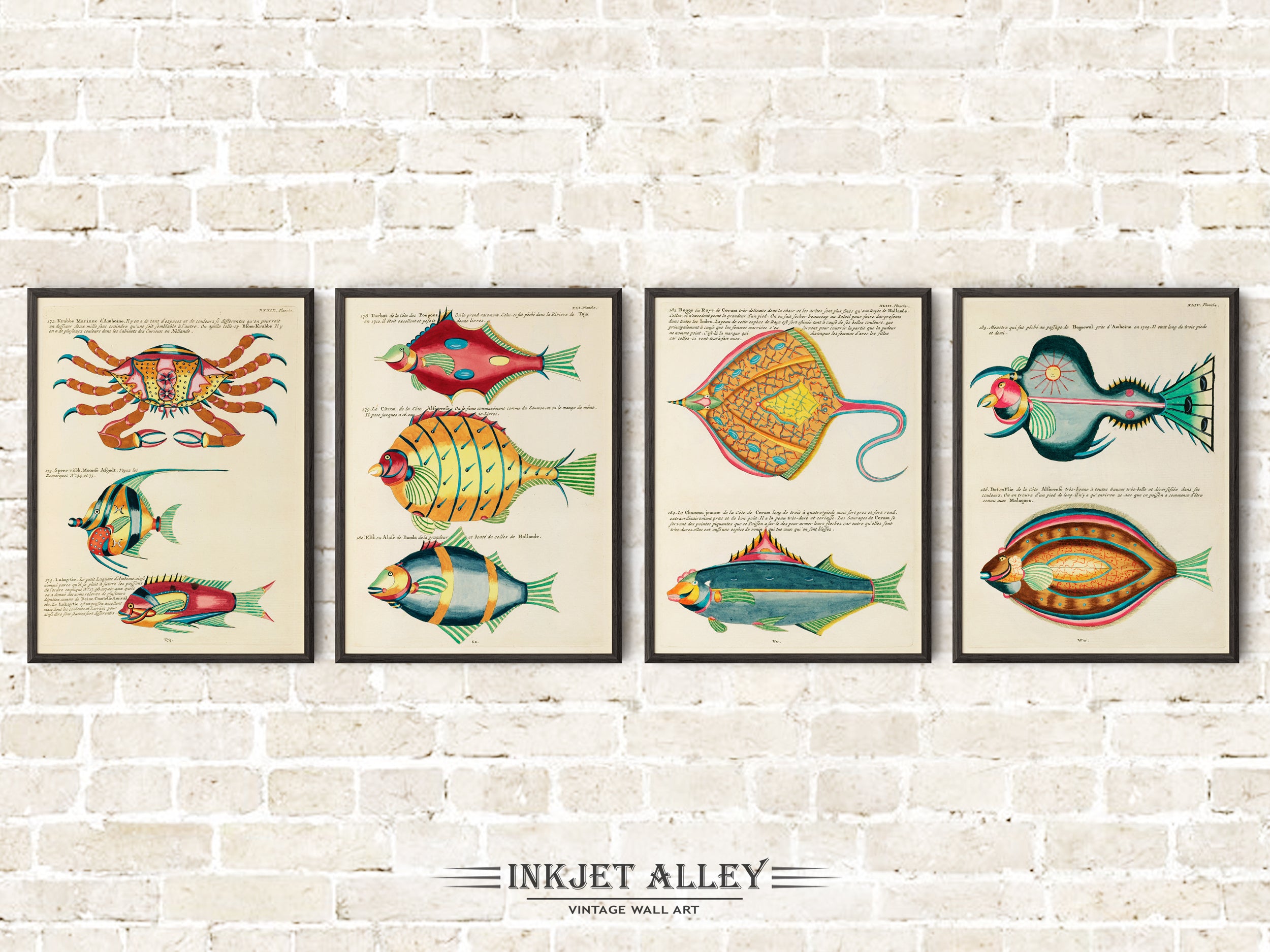 Set of 4 Fantastical Fish Illustrations by Louis Renard - SKU# EF10-PLA07-39-41-43-44