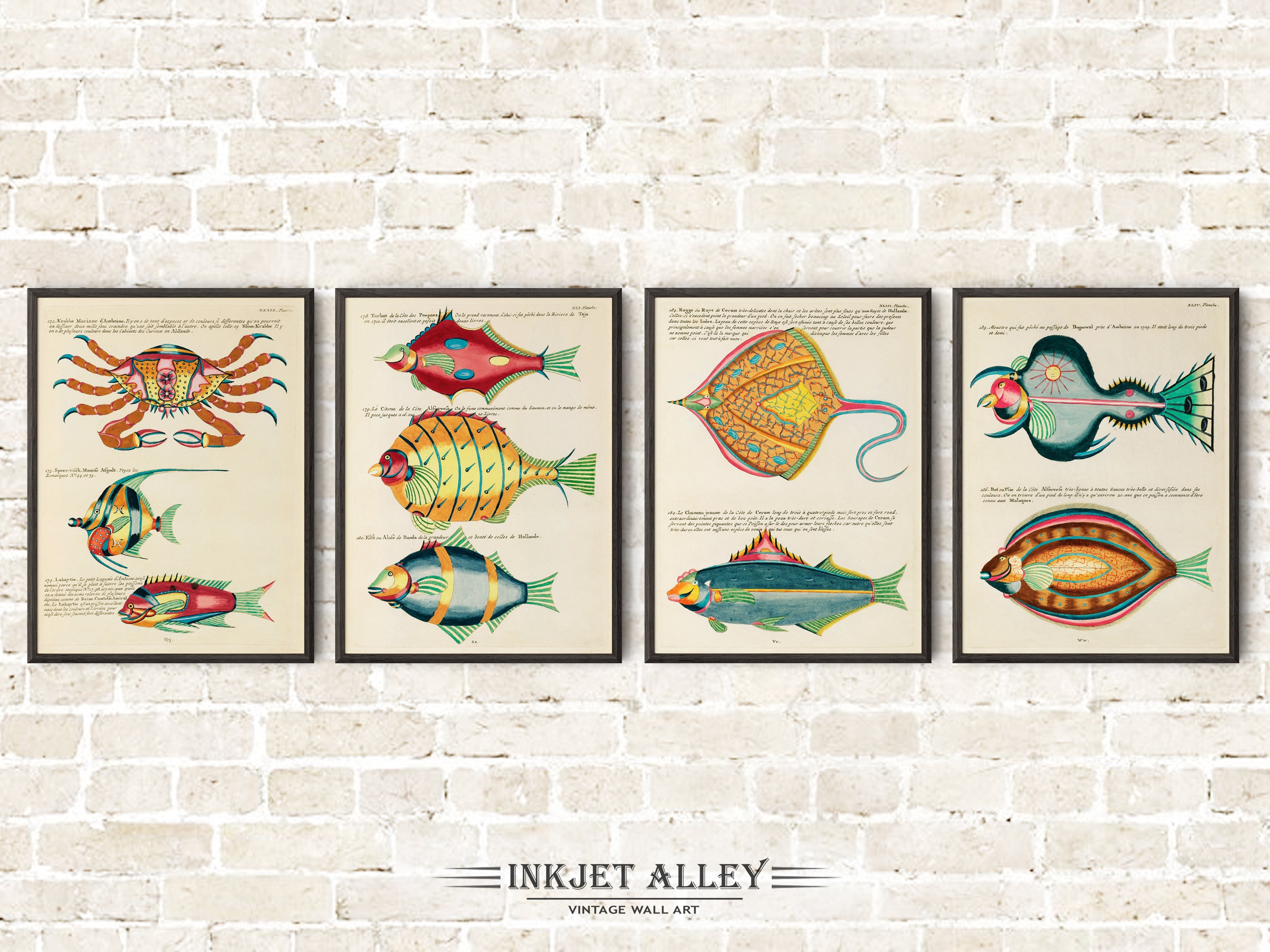 Inkjet Alley - Prints from Vintage Illustrations
