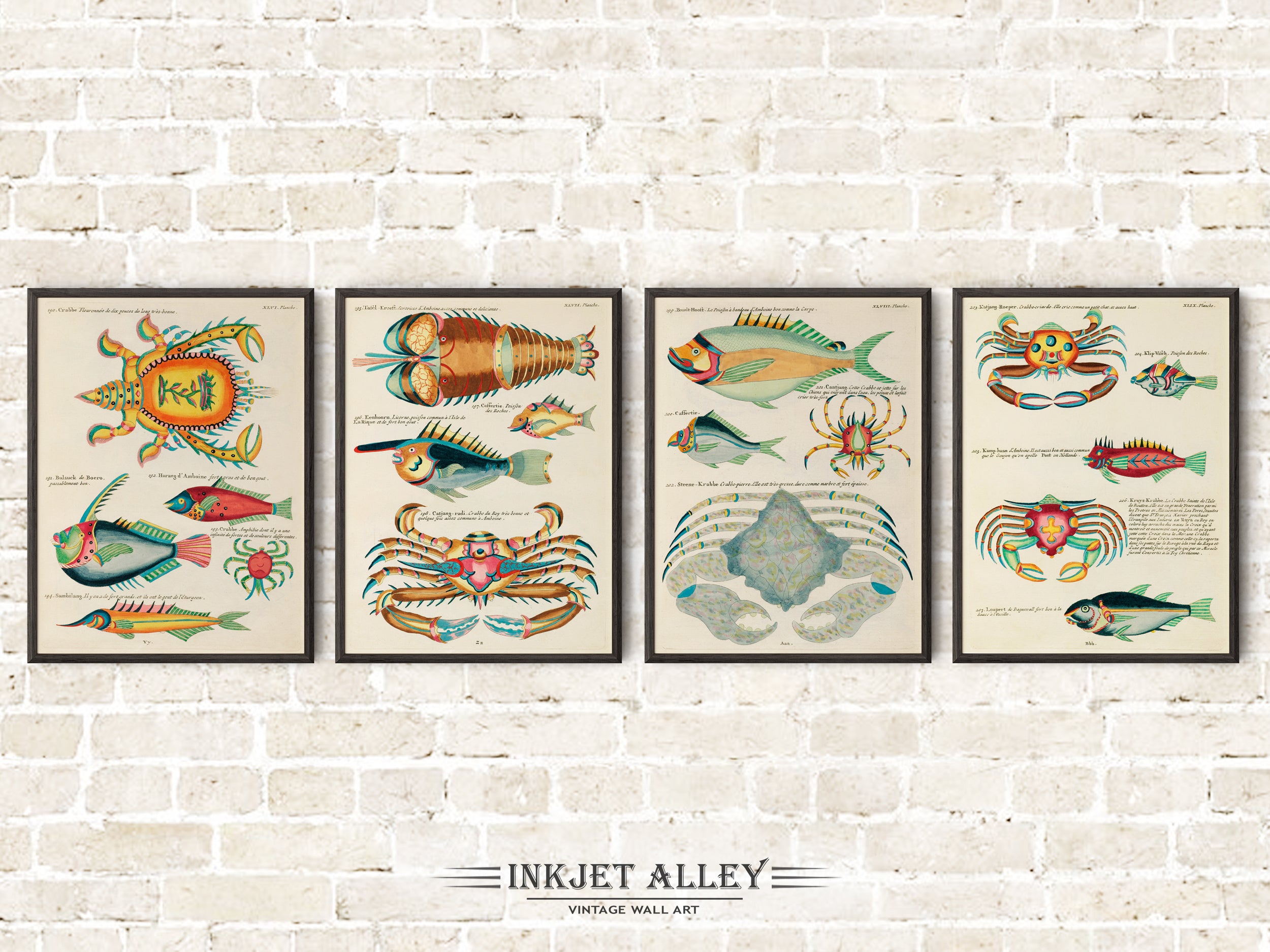 Set of 4 Fantastical Fish Illustrations by Louis Renard - SKU# EF10-PLA08-46-47-48-49