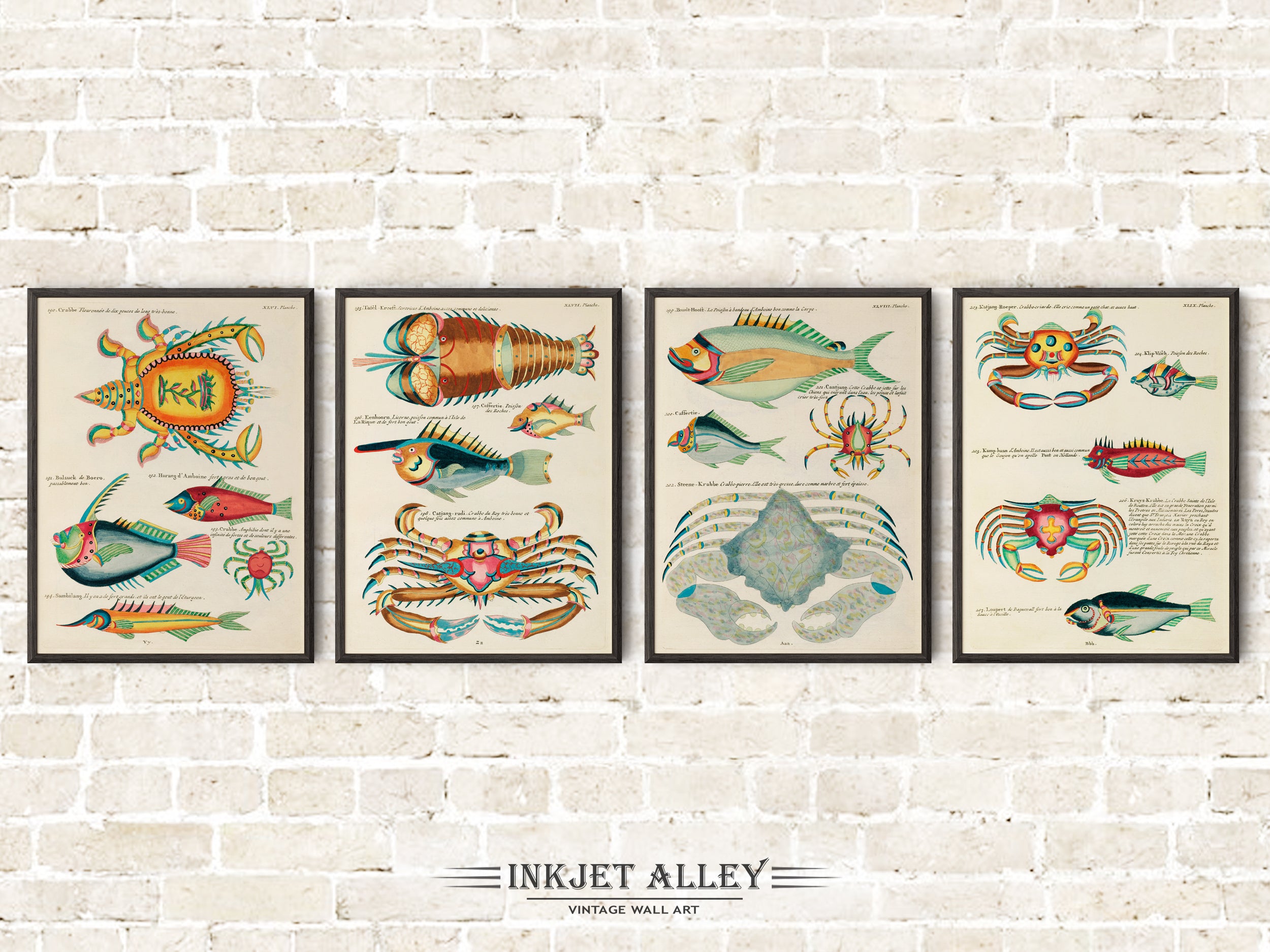 Inkjet Alley - Prints from Vintage Illustrations