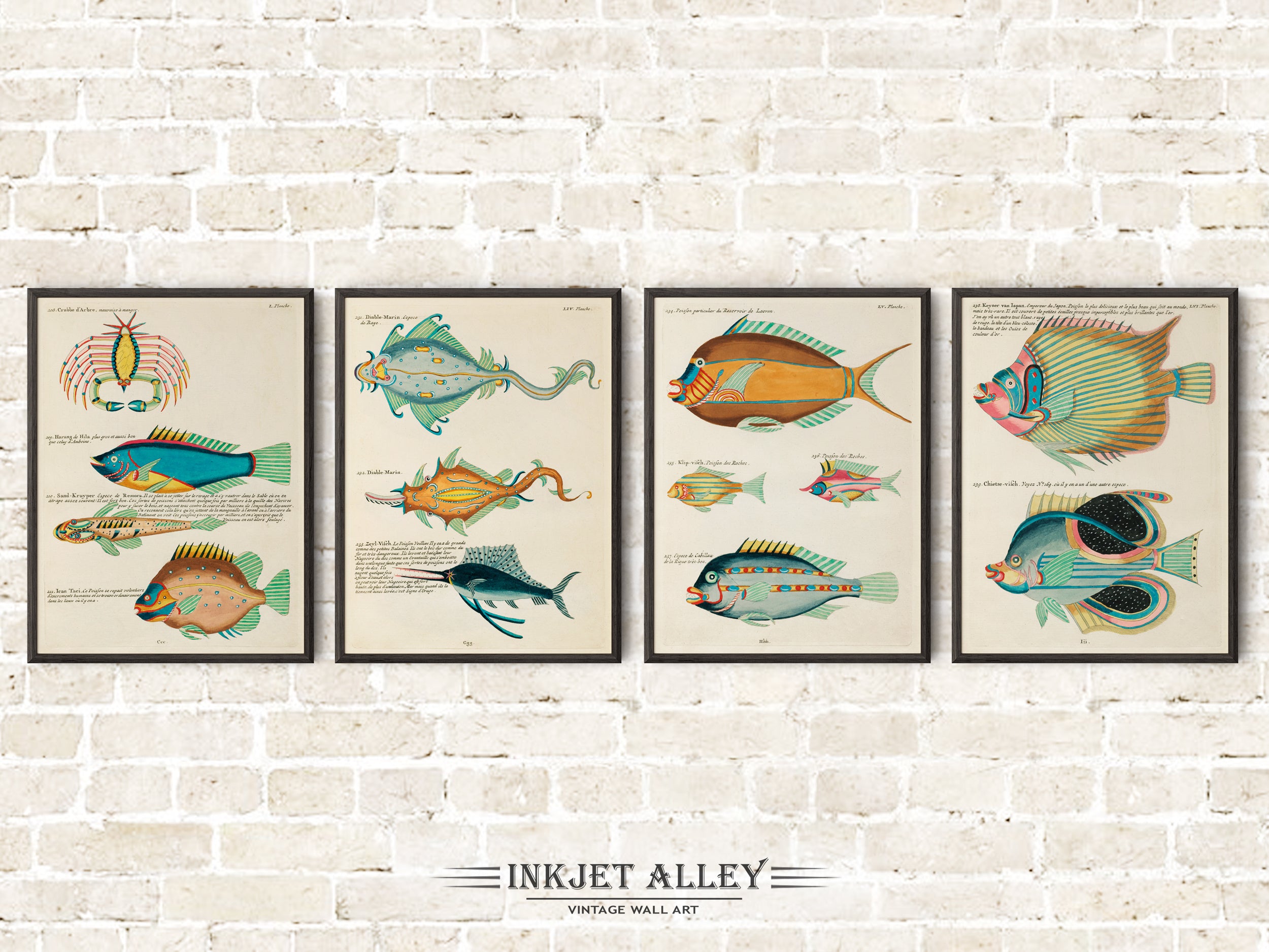 Set of 4 Fantastical Fish Illustrations by Louis Renard - SKU# EF10-PLA09-50-54-55-56