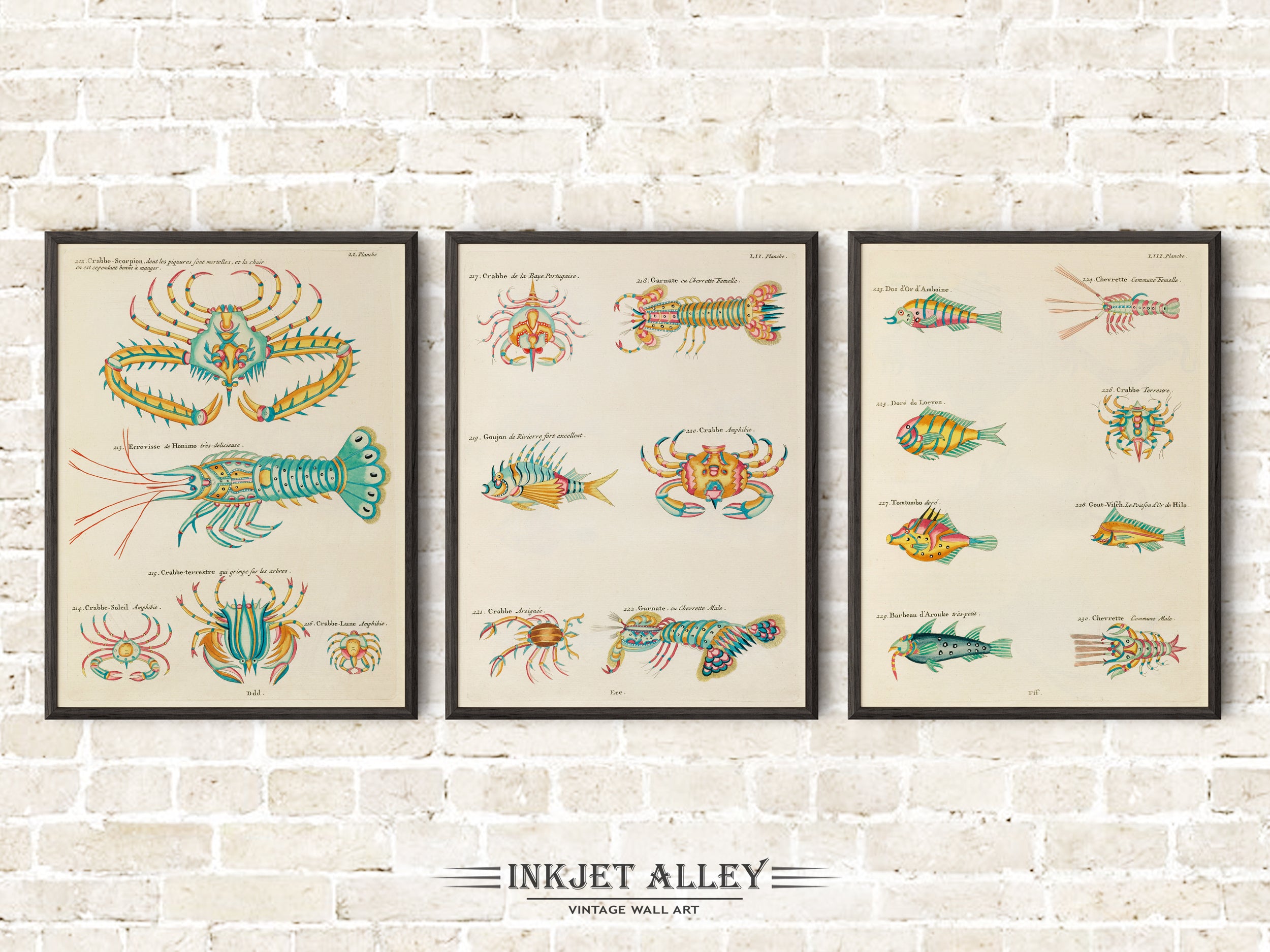 Set of 3 Fantastical Fish Illustrations by Louis Renard - SKU# EF10-PLA10-51-52-53