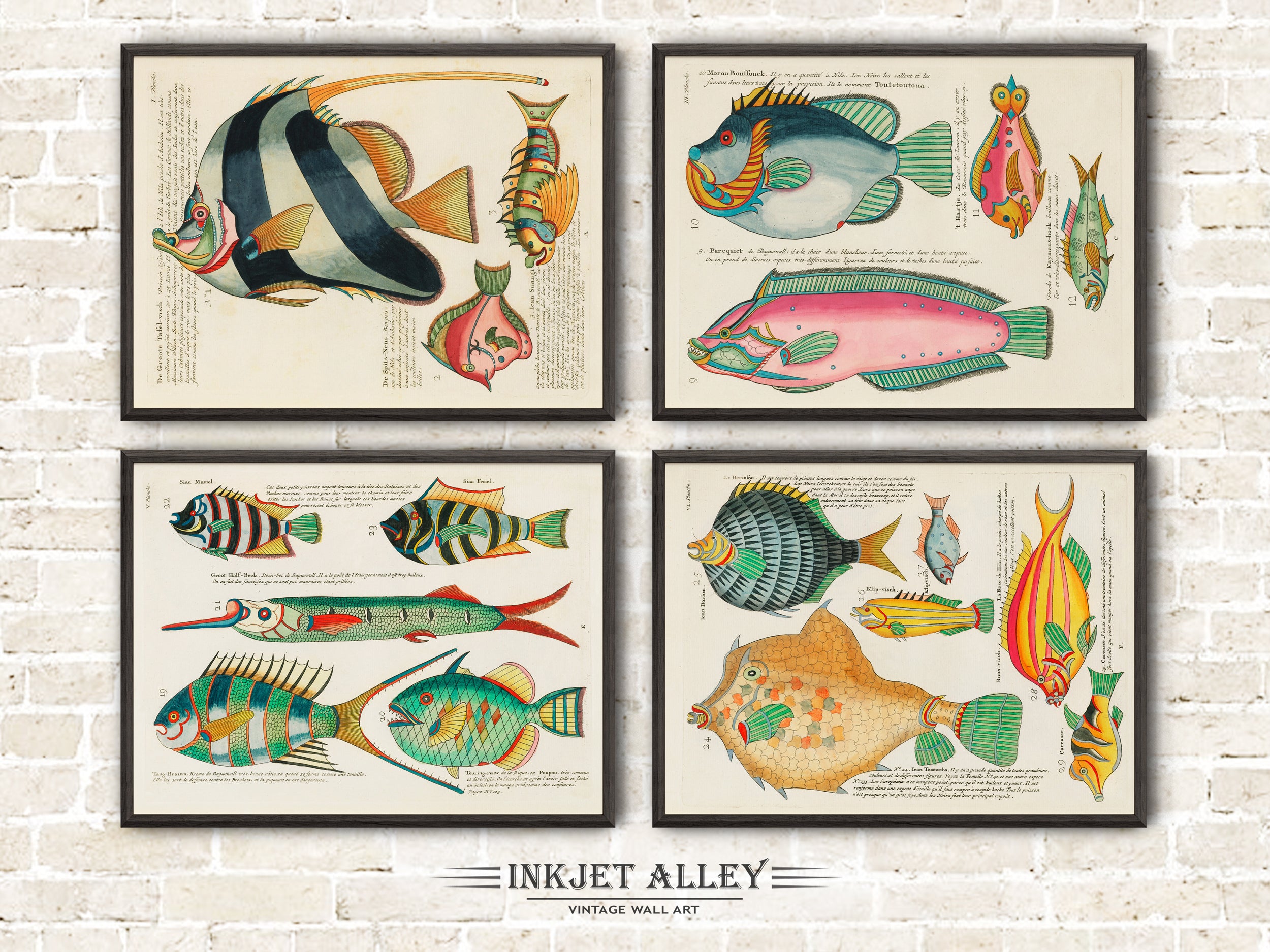 Set of 4 Fantastical Fish Illustrations by Louis Renard - SKU# EF10-PLA11-01-03-05-06