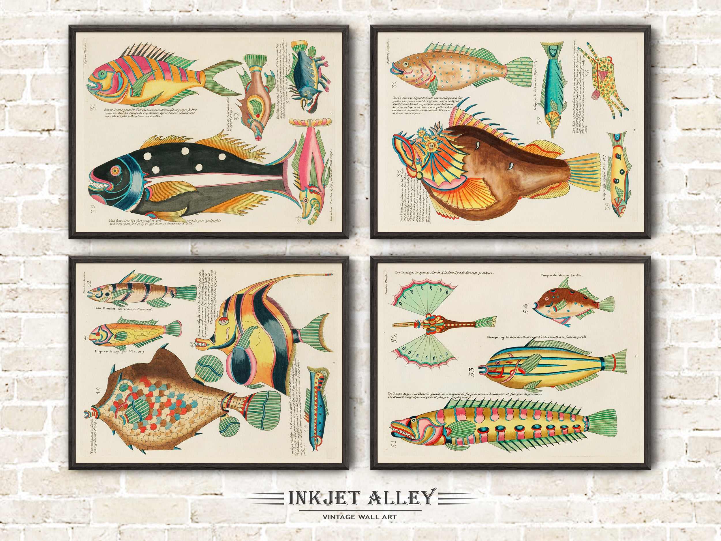 Set of 4 Fantastical Fish Illustrations by Louis Renard - SKU# EF10-PLA12-07-08-09-11