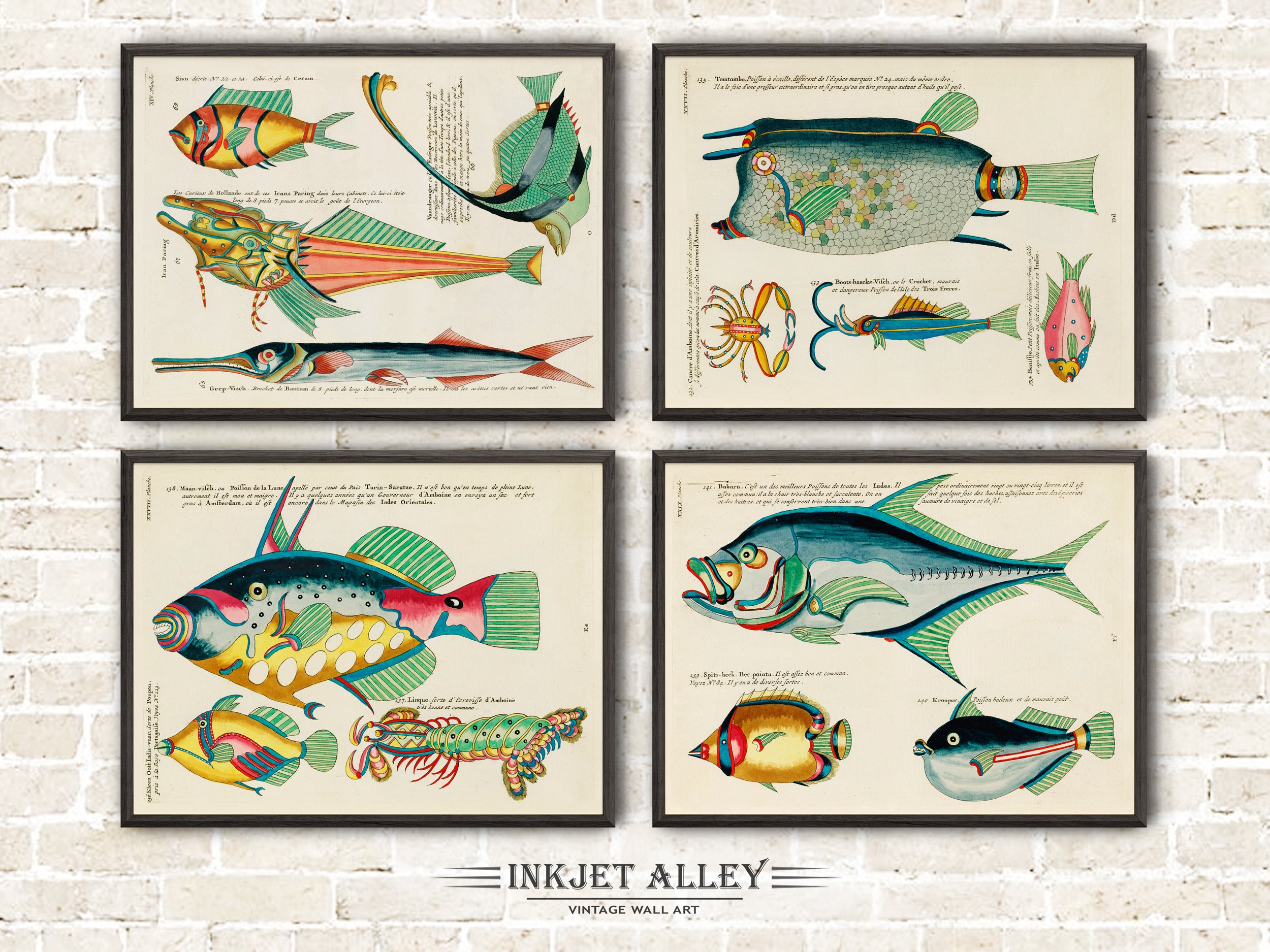 Set of 4 Fantastical Fish Illustrations by Louis Renard - SKU# EF10-PLA13-14-27-28-29