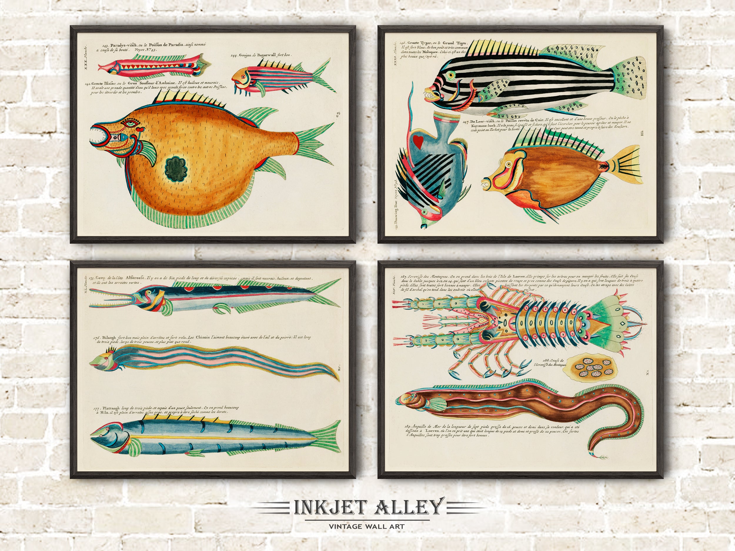 Set of 4 Fantastical Fish Illustrations by Louis Renard - SKU# EF10-PLA14-30-31-40-45